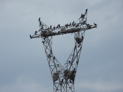 20120918 132643